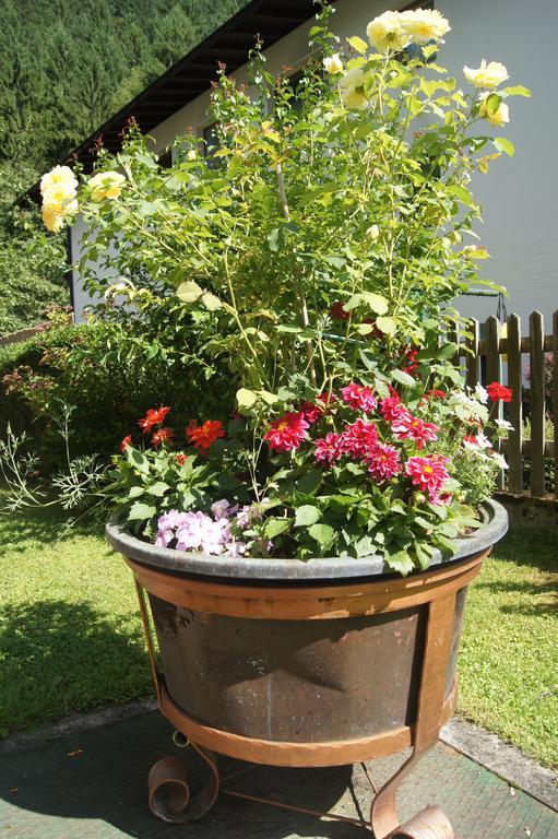 Haus Josef Bed & Breakfast ไมย์อาโฮเฟิน ภายนอก รูปภาพ